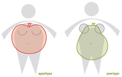 Obesitas: centraal (appel) versus perifeer (peer)